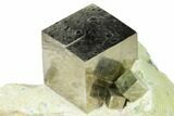 Four Lustrous, Natural Pyrite Cubes in Rock - Navajun, Spain #168519-2